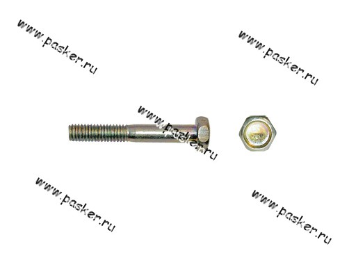 ������ ���������� ��� 3102 ����� - CarExpert.ru